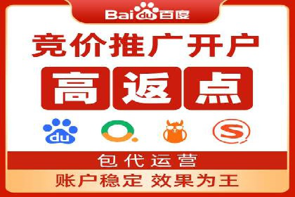 探索专业SEM托管的奥秘：从案例看效果